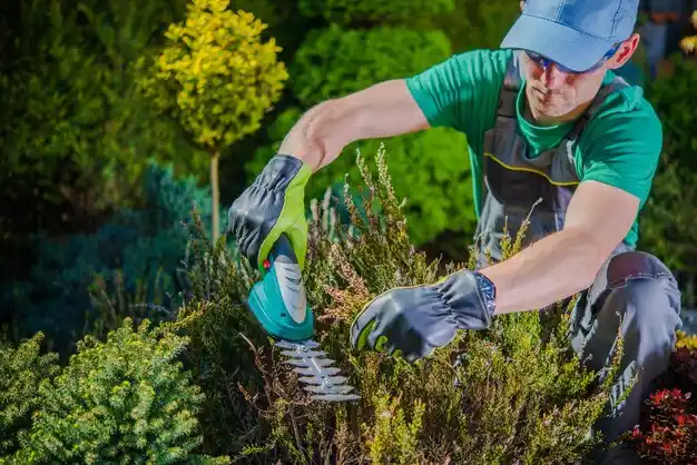 landscaping services Gordon Heights
